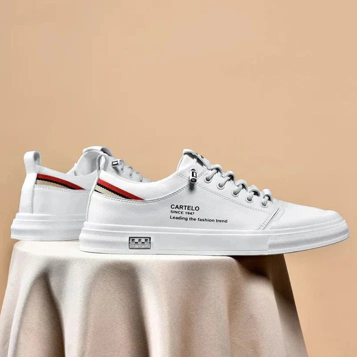 gid://shopify/MediaImage/41238638035233